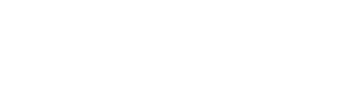 Lakeview Growth Management